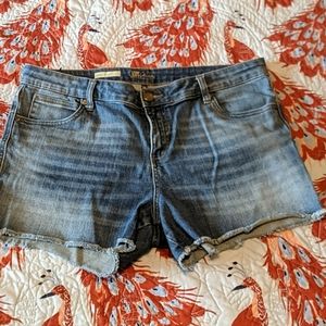 Kit from the Kloth jean shorts